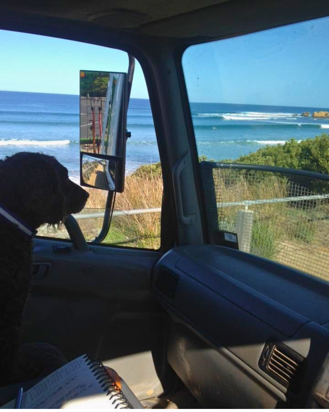 A black dog sits in the passenger seat of a vehicle inside, looking out the window at an ocean view with surfers on the beach. The side-view mirror shows a parking-meter pole.